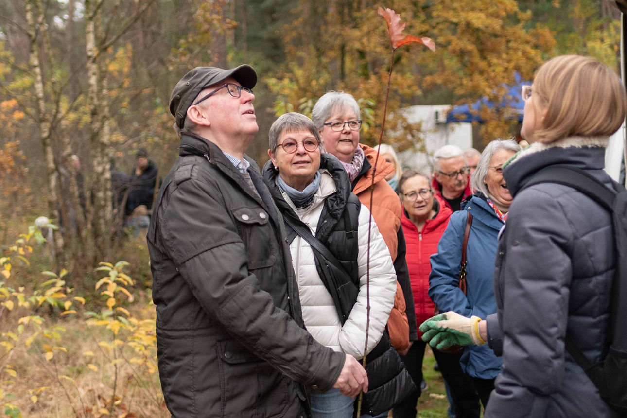 Mensch im Volksbank-Wald
