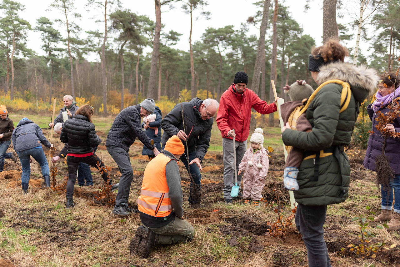 Menschenmenge im Volksbankwald während sie einen Baum einpflanzen
