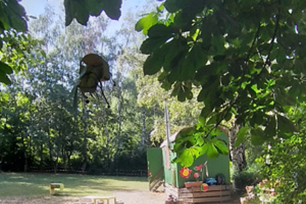 Sonnenbeschienen erweitert der im Wald gelegene grüne Container das Gelände um eine Sanitäranlage