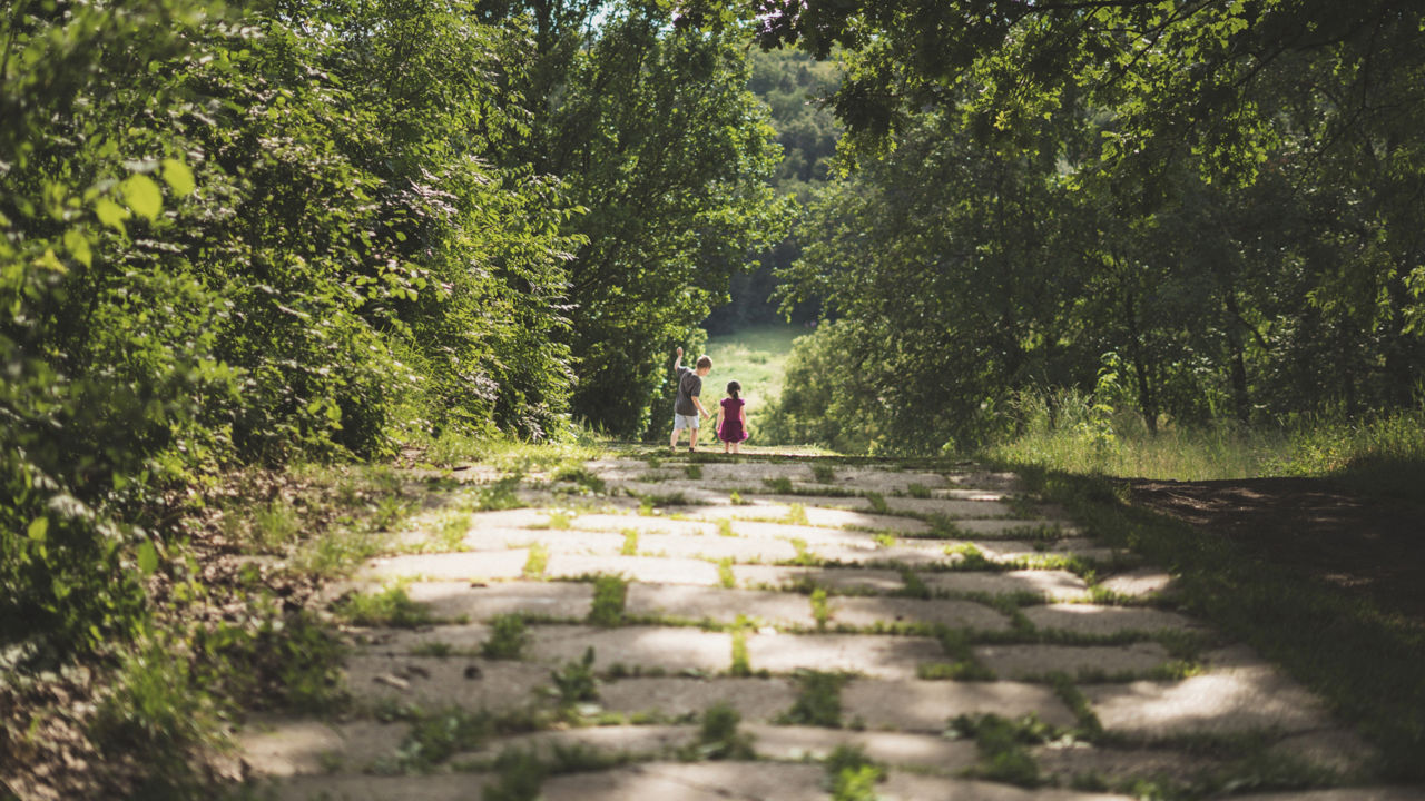 Waldweg mit zwei Kindern