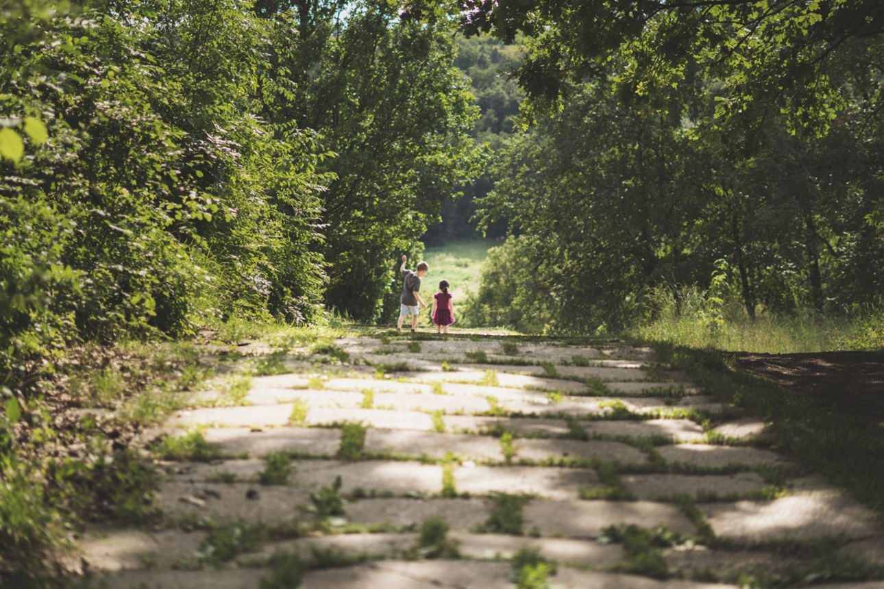 Waldweg mit zwei Kindern