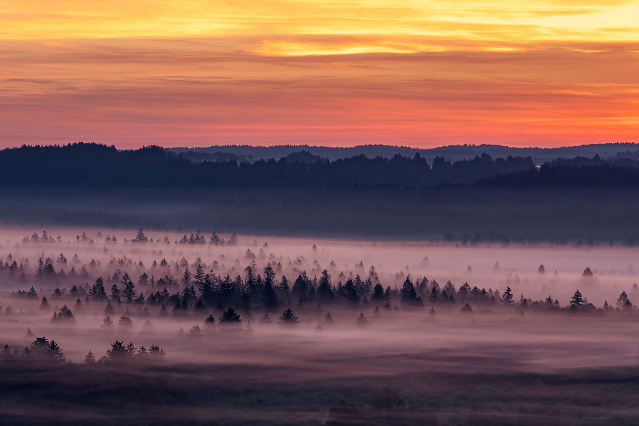 Wanderung - Foto: Schlederloh © Sandra Ilmberger