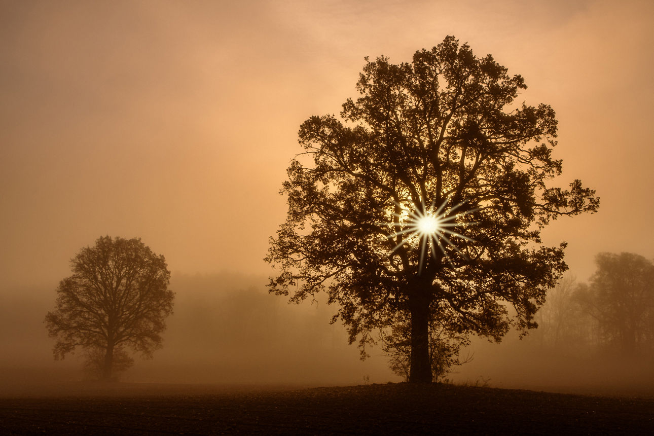 Wanderung - Achmühle © Helga Orterer