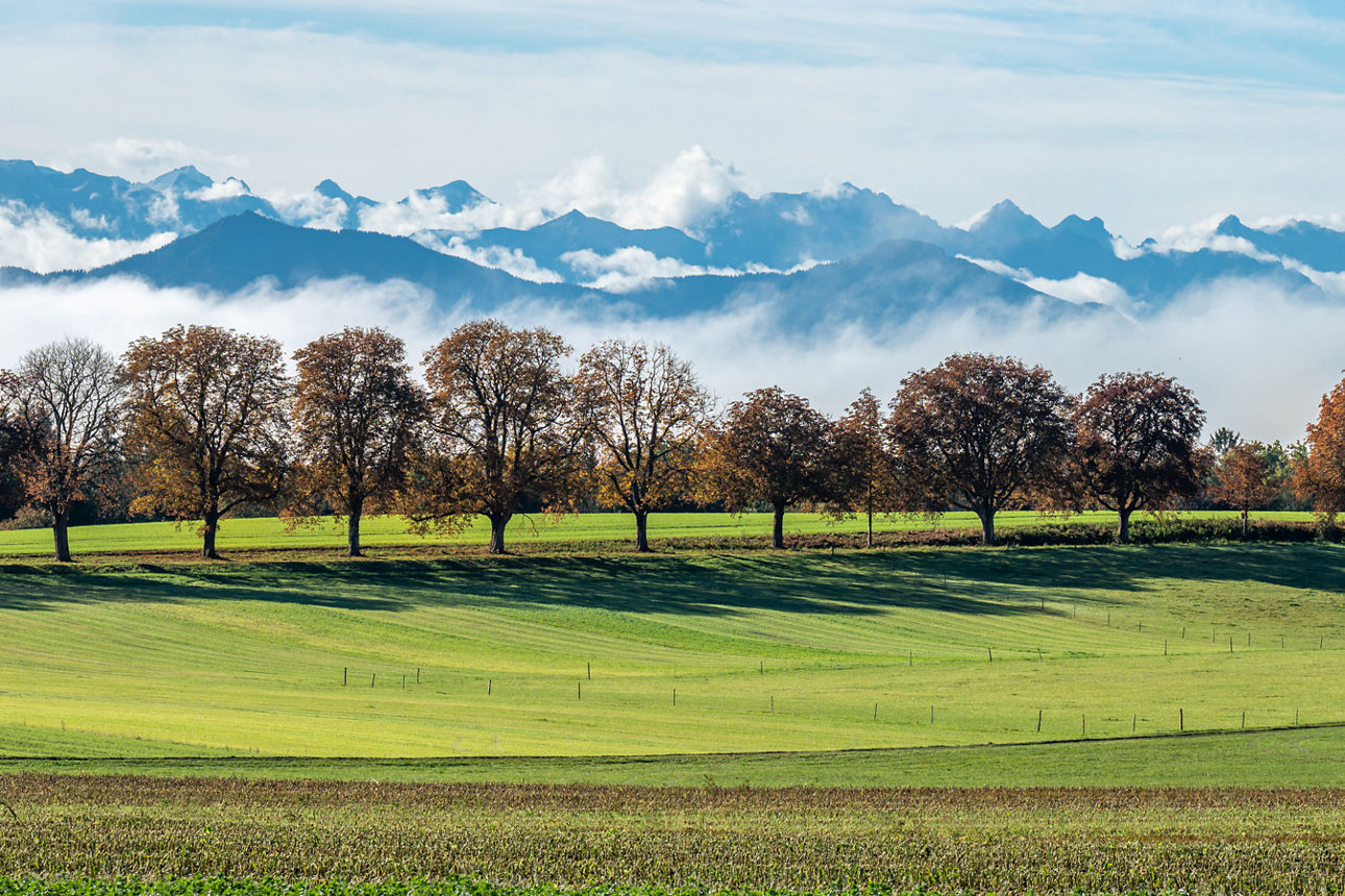 Wanderung - Foto: Icking © Thomas (Tom) Hirschmann