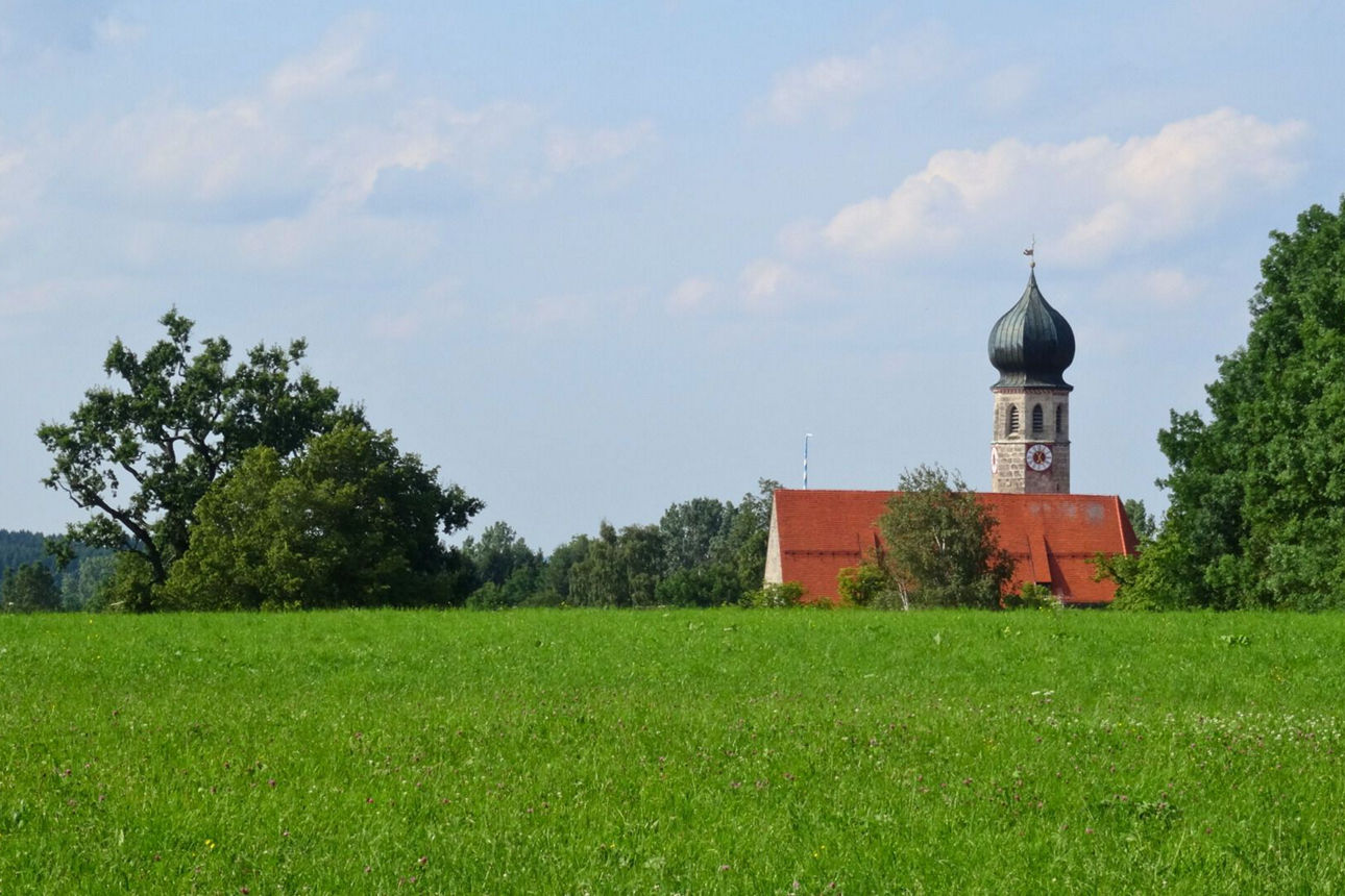 Eine weite, grüne Wiesenlandschaft unter einem blauen Himmel mit vereinzelten weißen Wolken. Unten rechts im Bild ist die Spitze einer Kirche mit Zwiebelturm und rotem Dach zu sehen, umgeben von Bäumen. Im Hintergrund erstreckt sich ein dunkler Waldstreifen.