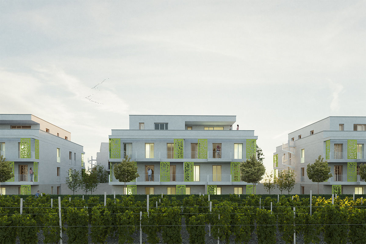 Drei moderne Wohngebäude mit Balkonen und grünen Fassaden, umgeben von Bäumen und Weinreben.