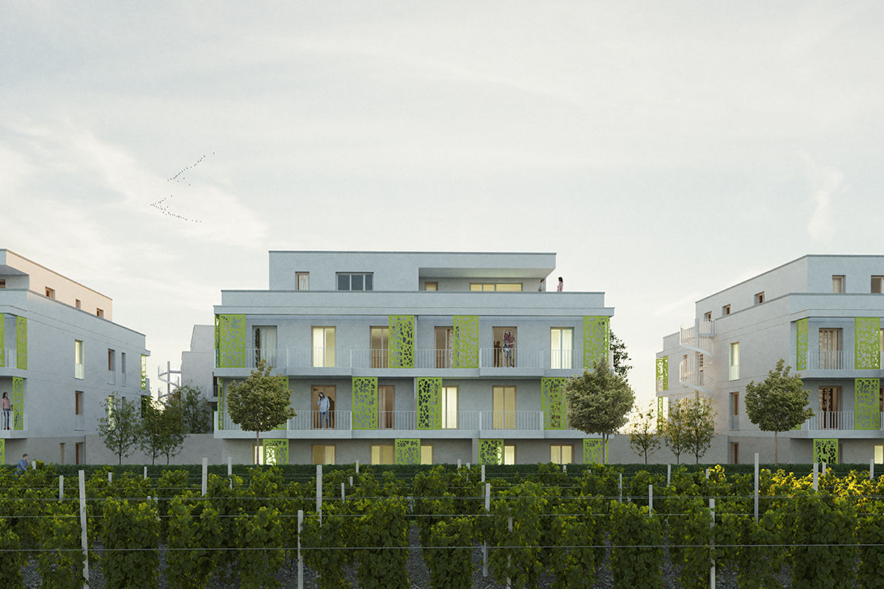 Drei moderne Wohngebäude mit Balkonen und grünen Fassaden, umgeben von Bäumen und Weinreben.