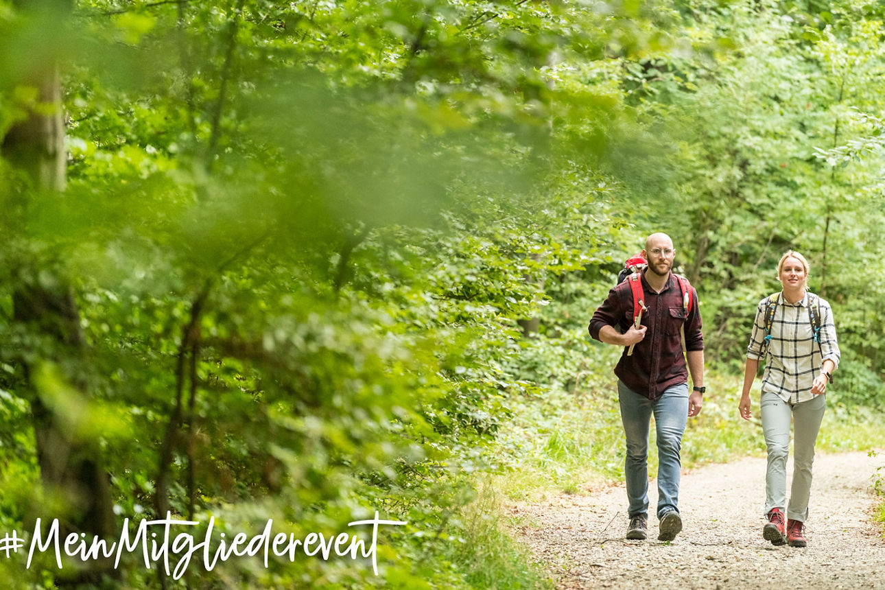 Zwei Personen mit Wanderrucksäcken gehen auf einem Waldweg.