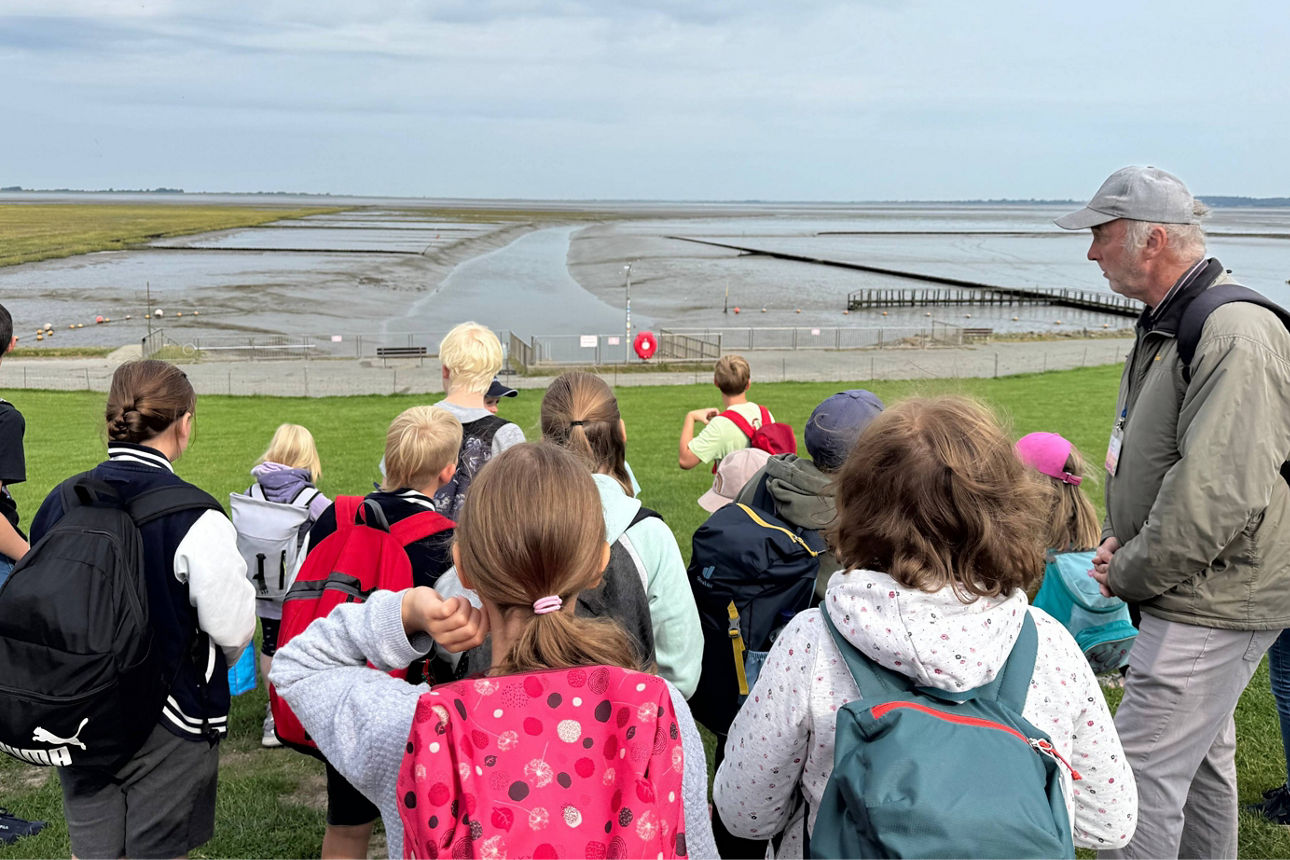 Die Kinder hören dem Wattführer aufmerksam zu.