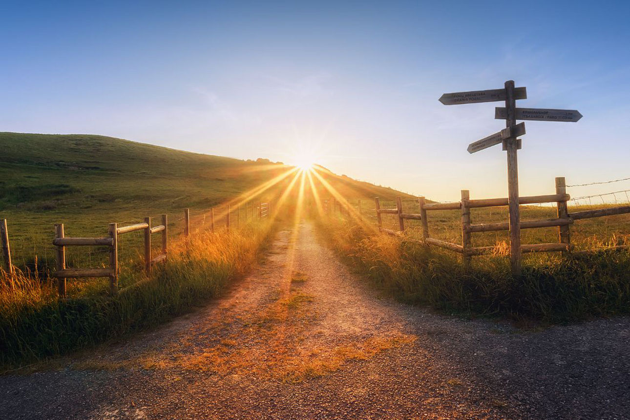 Weg mit Wegweiser und strahlender Sonne