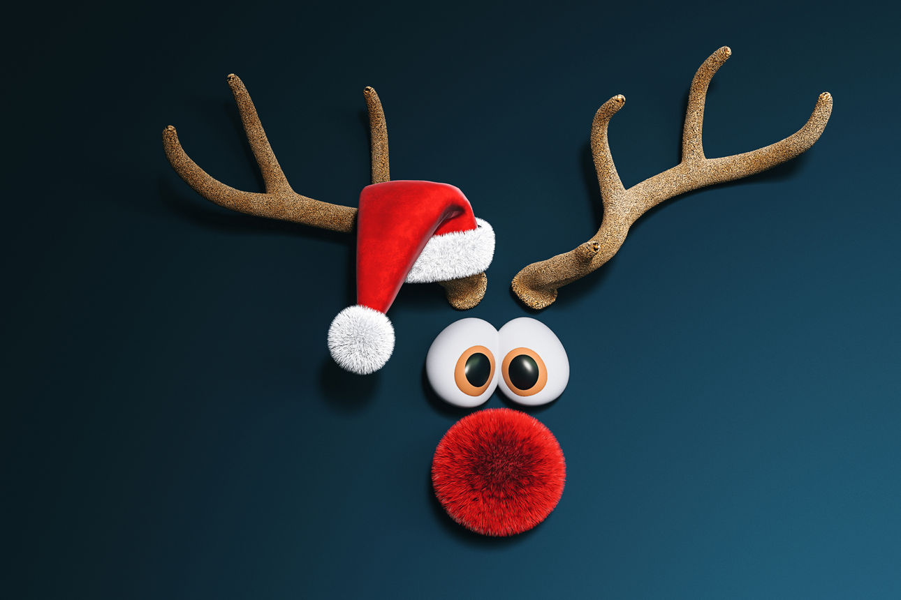 lustige Elchgrafik mit Weihnachtsmütze vor dunkelblauem Hintergrund