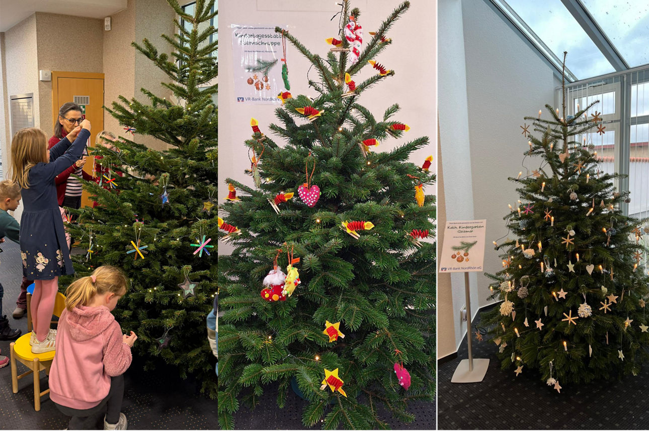 Weihnachtsbäume in unseren Filialen