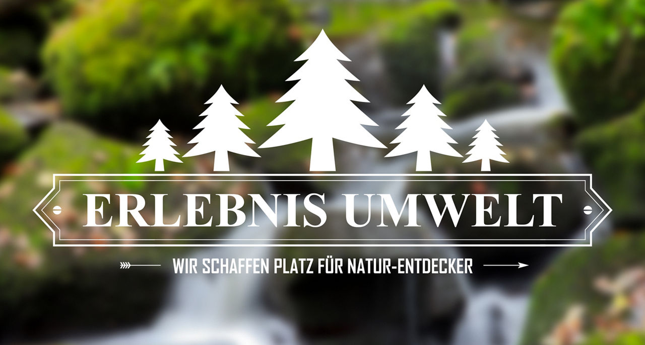Bachlauf mit Schrift Erlebnis Umwelt und weißen Tannenbäumen