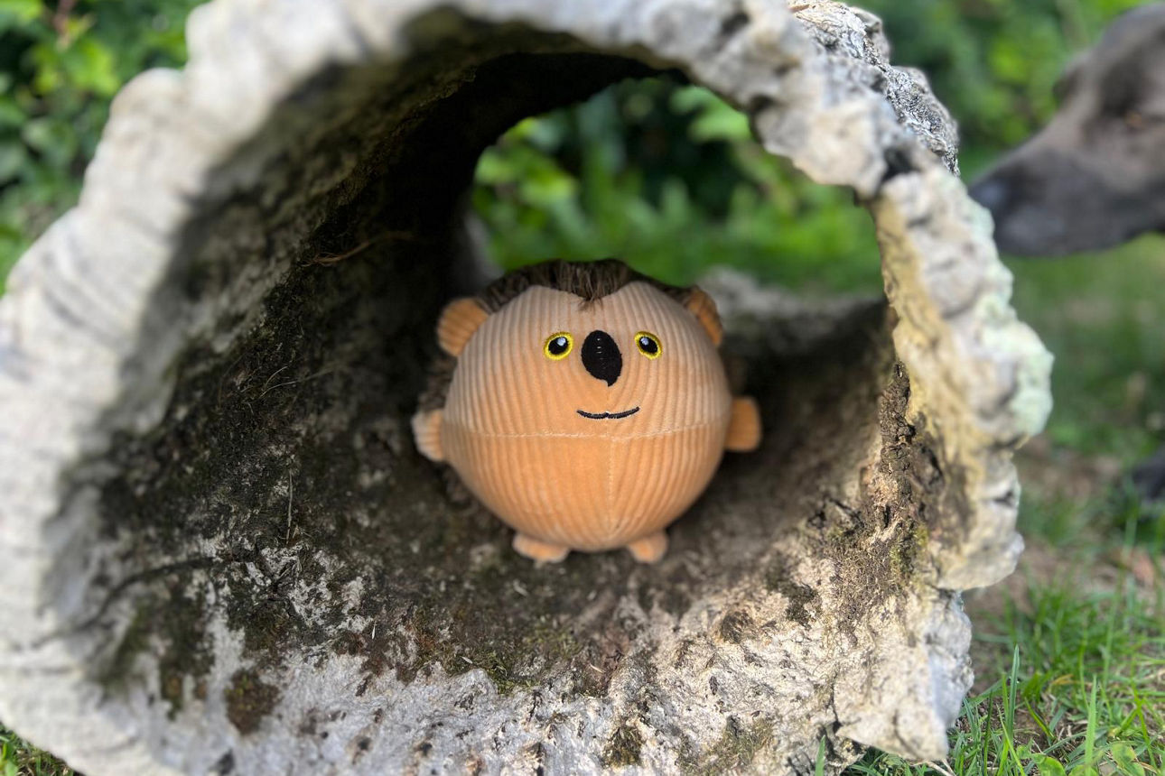 Lächelndes Igel-Kuscheltier in einer Baumhöhle, daneben ein Hundekopf, grüne Wiese, Motiv für Weltspartag 2025.