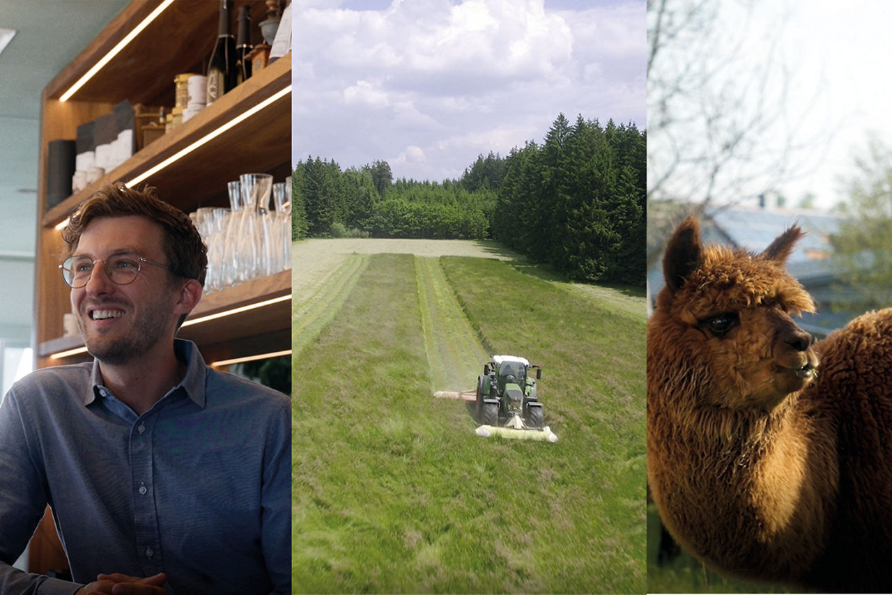 Ein dreigeteiltes Bild mit einem Mann in einem Café, einen Traktor auf einem Feld und einem Alpaka