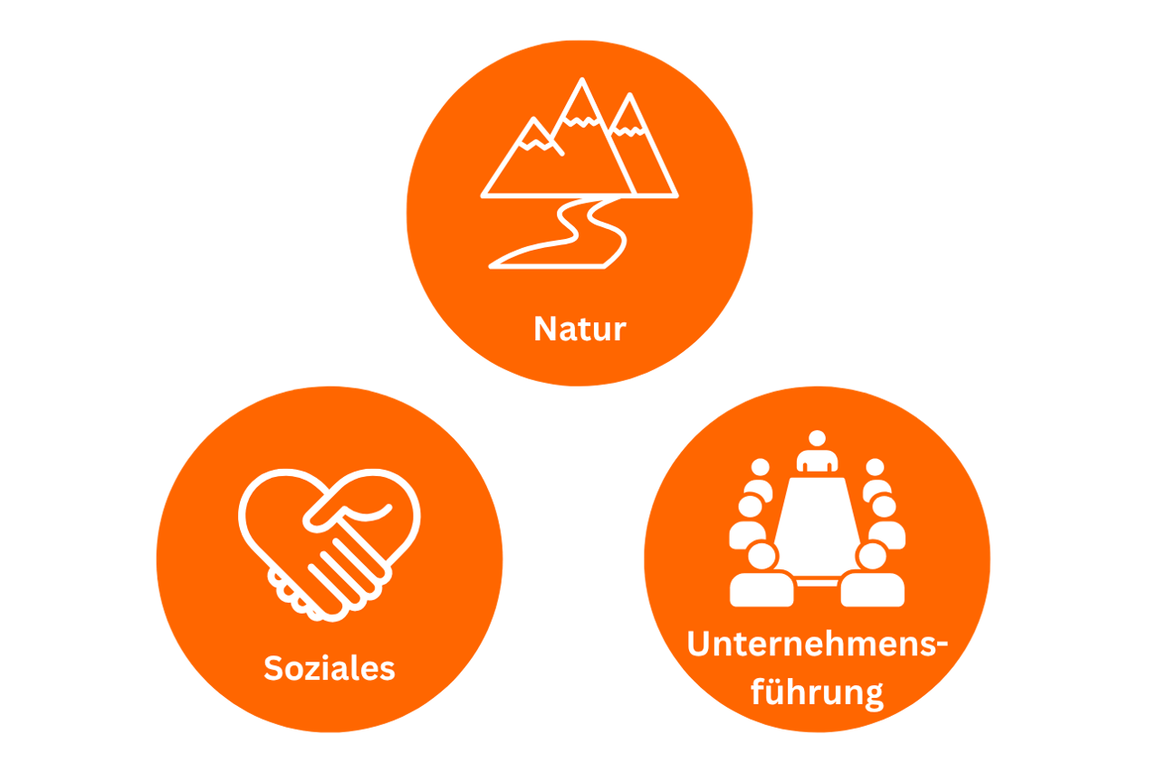 Grafik zum Thema Regionale Verantwortung