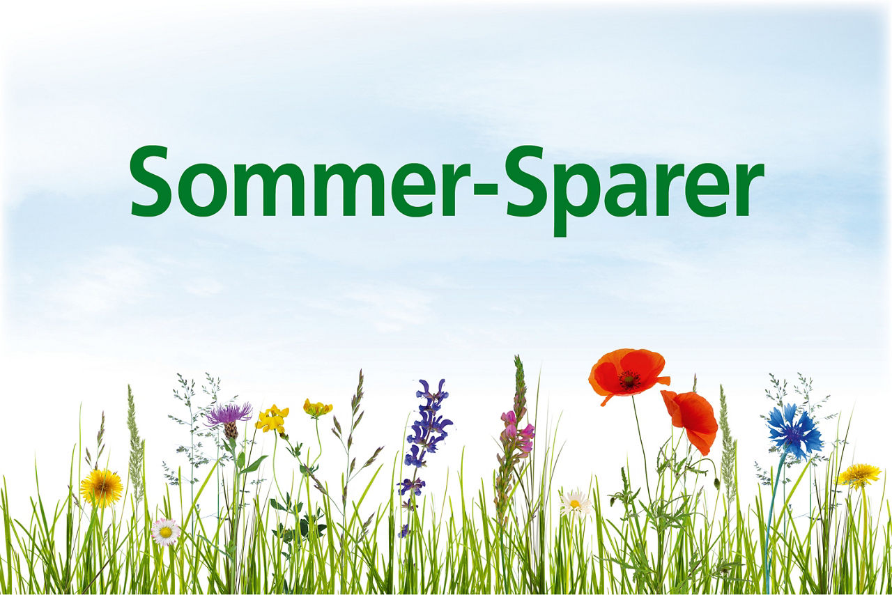 Eine Blumenwiese mit blauem Himmel im Hintergrund. Zu lesen ist die Überschrift "Sommer-Sparer" in grün.