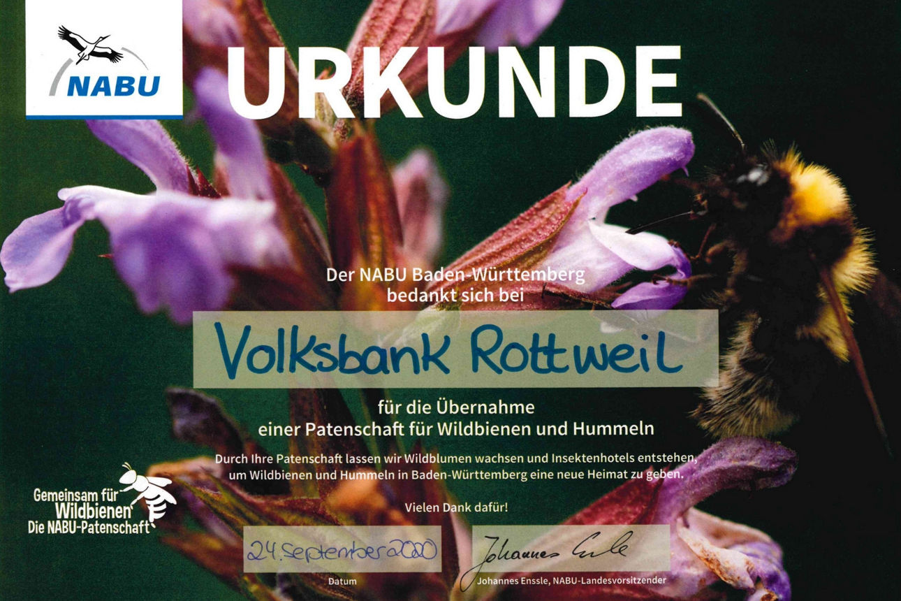 Grafik zum Thema Bio Banking - Umwelt, Soziales und Unternehmensführung