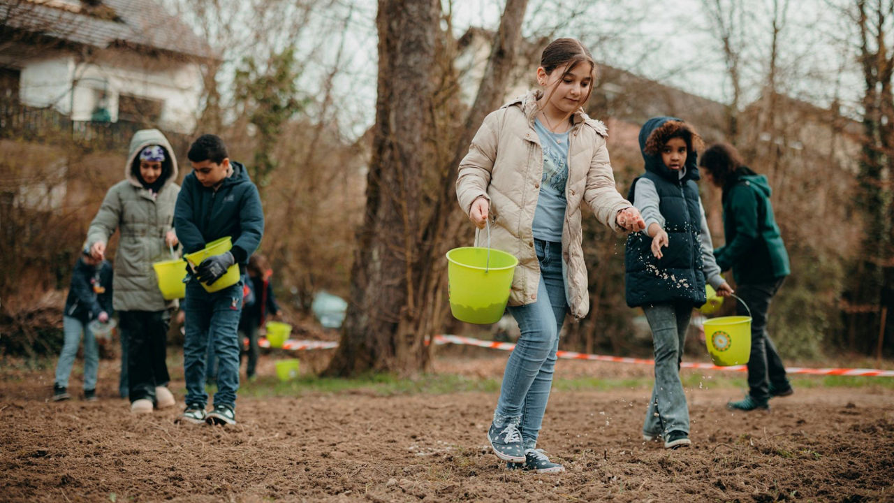 Kinder beim Aussäen auf dem BUND-Gelände am Hohbergsee in Lahr.