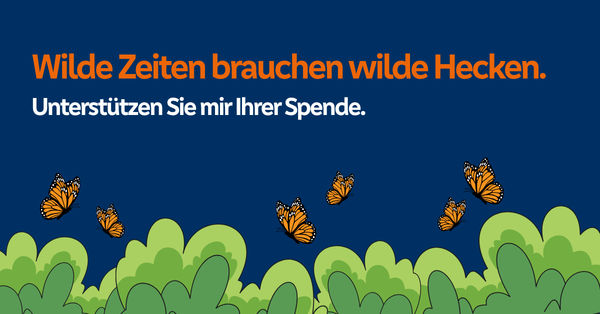 Grafik mit blauem Hintergrund, grüner Hecke und Schmetterlinken mit Schrift "Wilde Zeiten brauchen wilde Hecken."