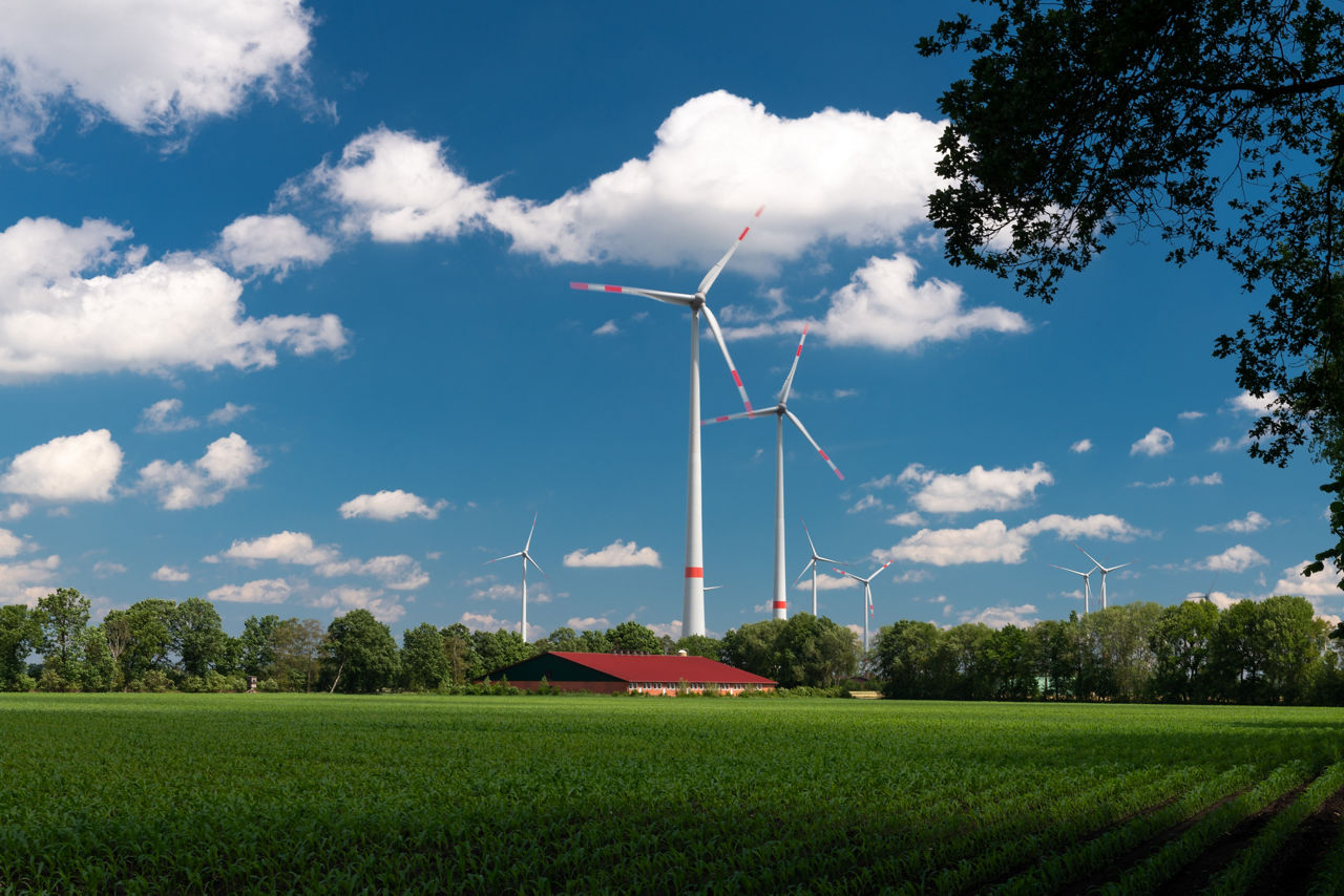 Ein grünes Feld mit Windrädern, Bäumen und einem Gebäude vor blauem Himmel mit Wolken.