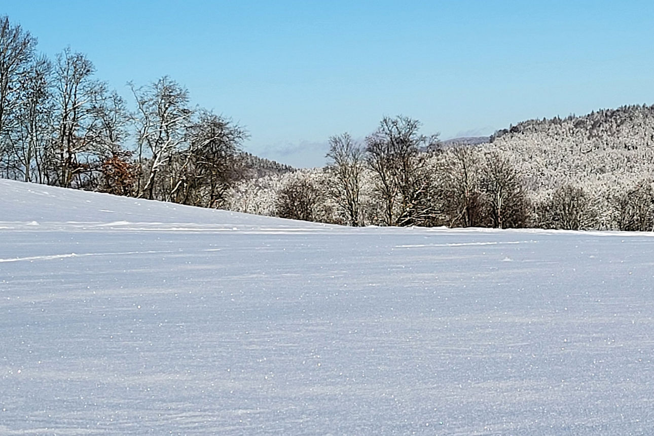 Winterlandschaft