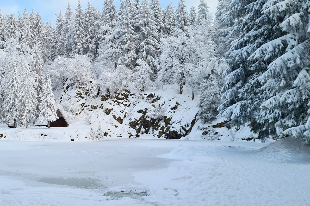 Winter