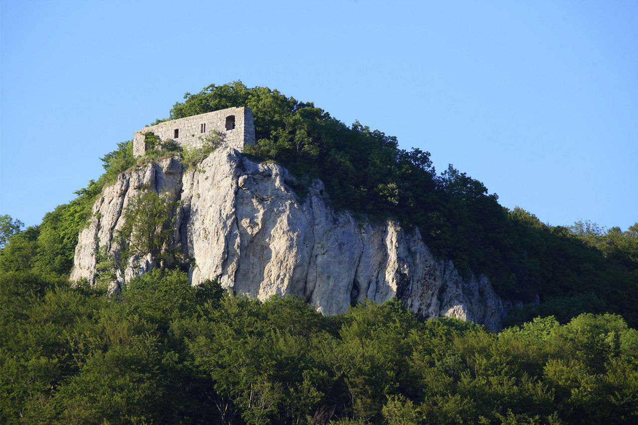 Kreidefelsen von Wald umrahmt
