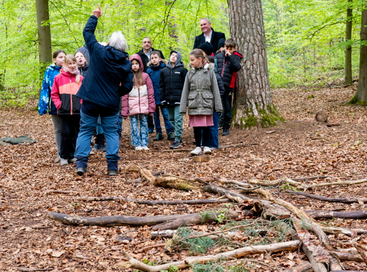 Eine Gruppe von Grundschülern bekommt im Wald etwas erklärt
