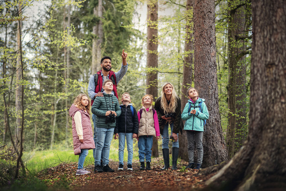 Eine Gruppe Schüler mit Lehrern im Wald