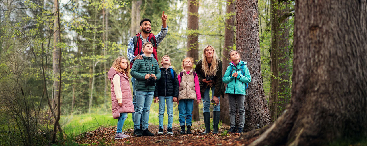 Eine Gruppe Schüler mit Lehrern im Wald