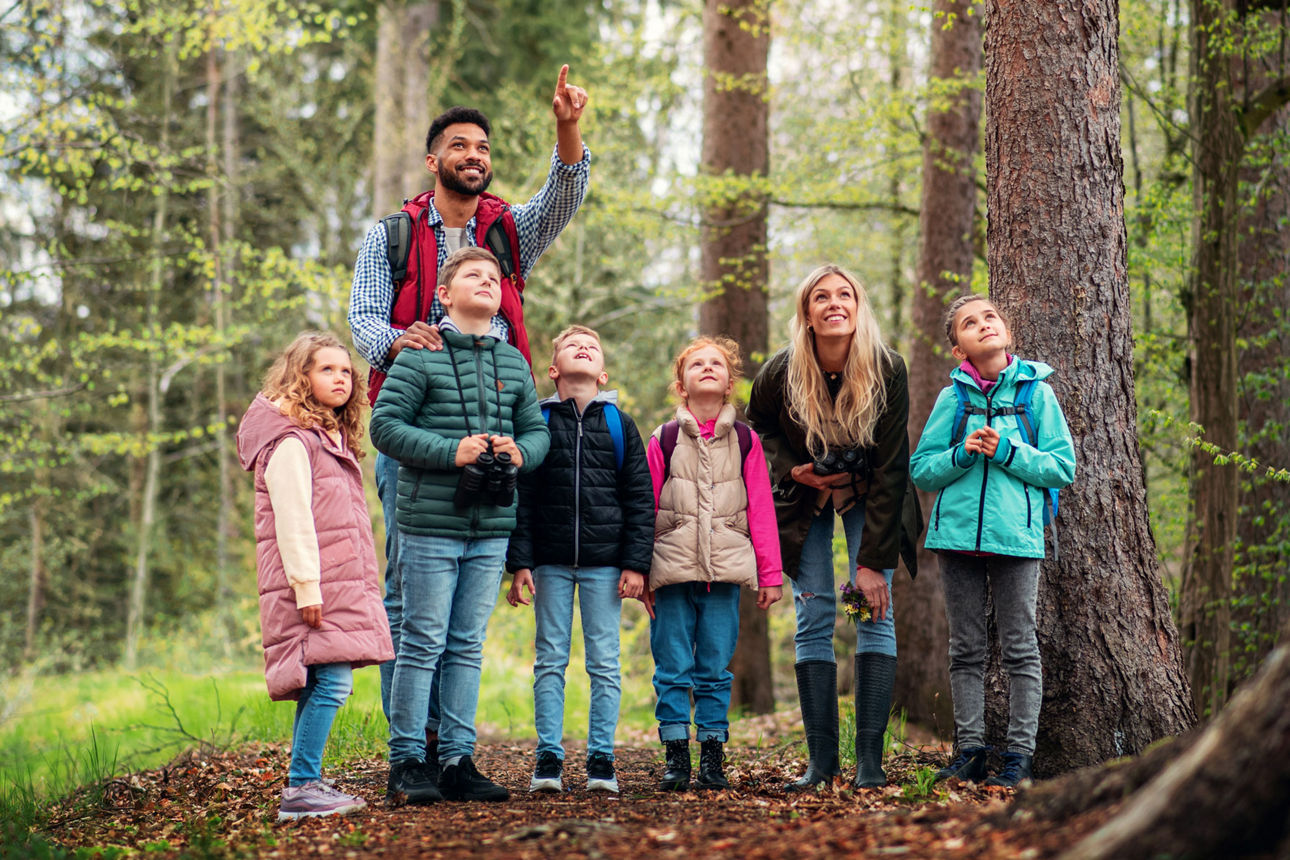 Eine Gruppe Schüler mit Lehrern im Wald