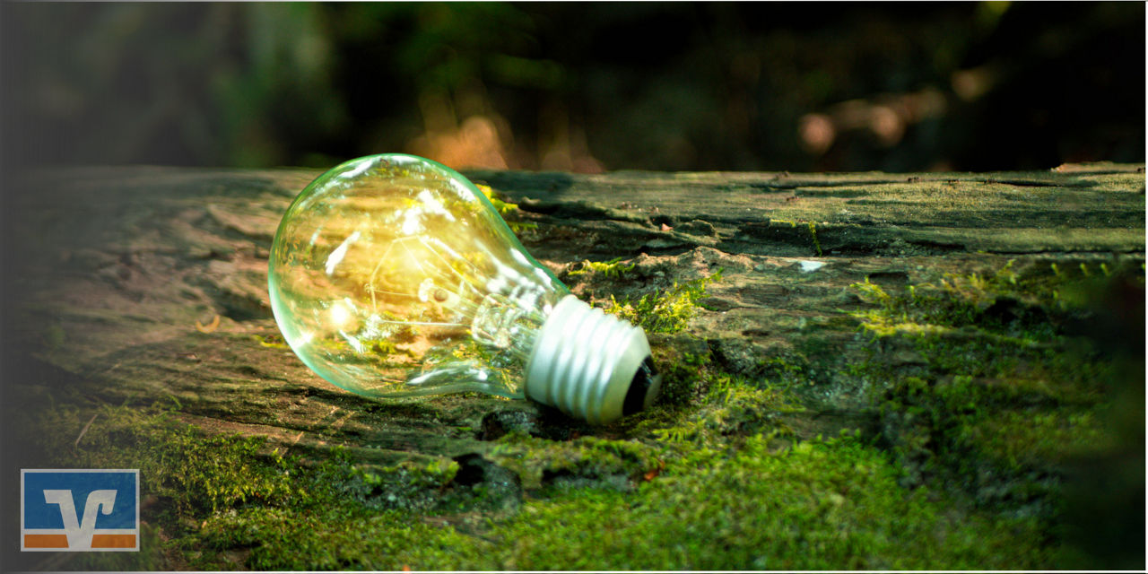 Glühbirne leuchtet auf moosbedecktem Baumstamm im Wald.
