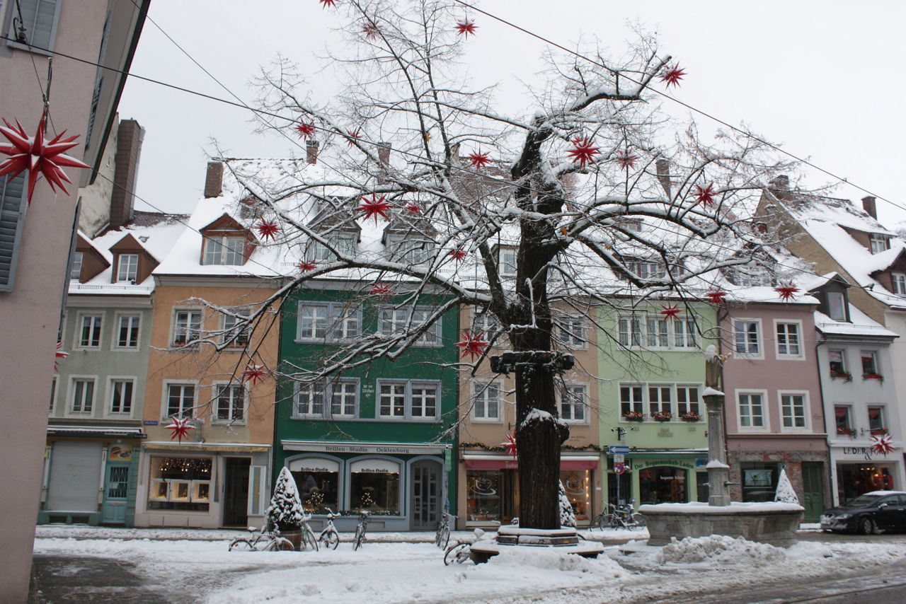 Auf dem Bild sind mehrere bunte und schneebedeckte Reihenhäuser zu sehen. Im Vordergrund steht ein großer Baum.