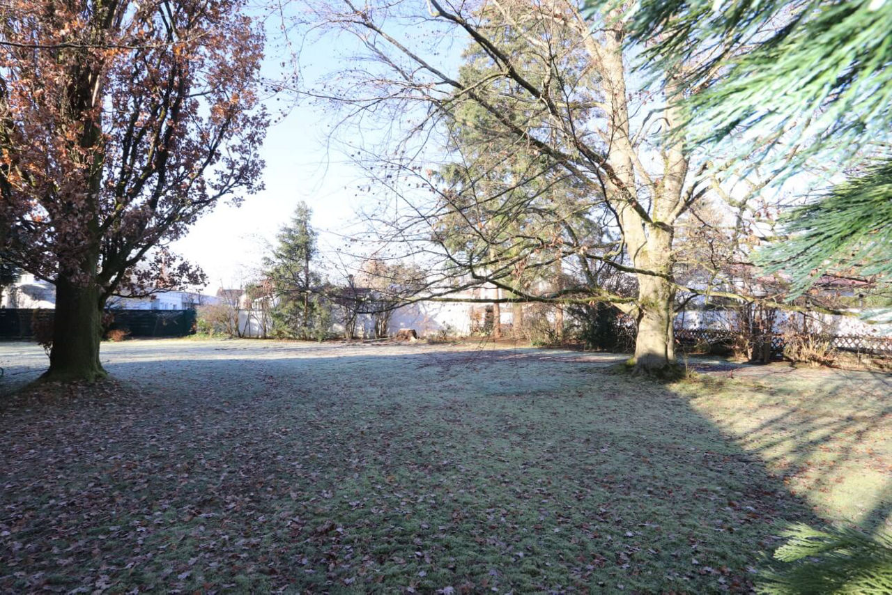 Außenansicht eines Wohnbaugrundstücks mit großen Bäumen