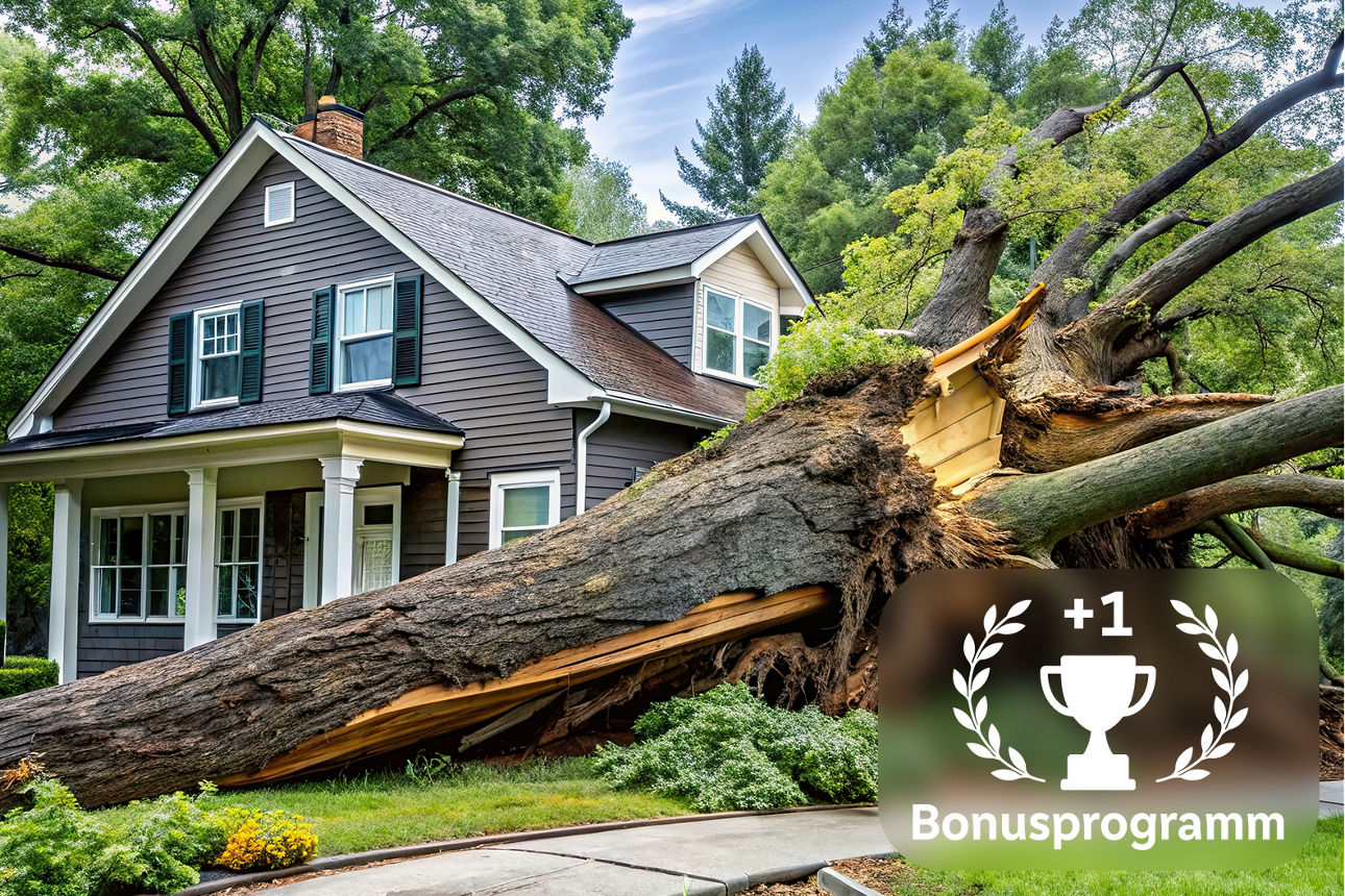 umgestürzter Baum liegt neben Wohnhaus