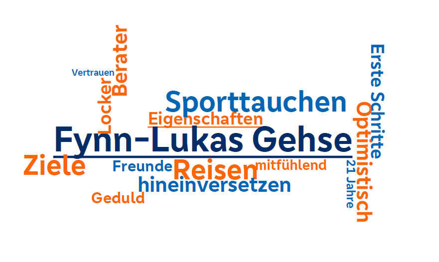 Wörter die Fynn Lukas Geseh beschreiben