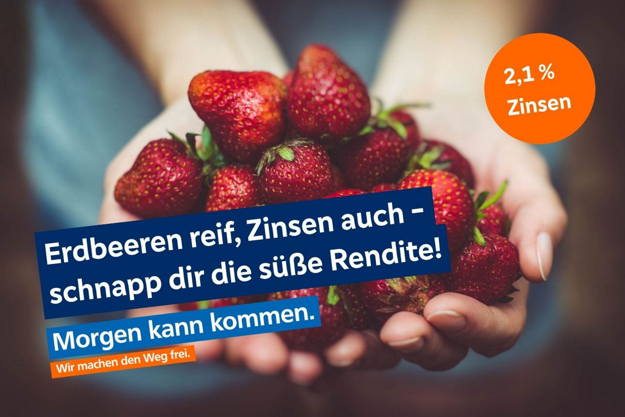 Zinsfix