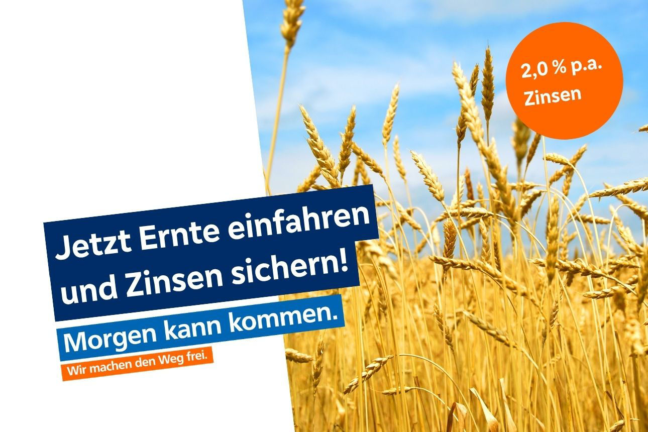 Zinsfix HP 3:2 NEU - 1