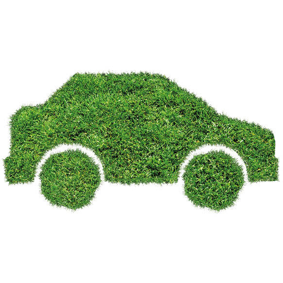 Auto aus Moos