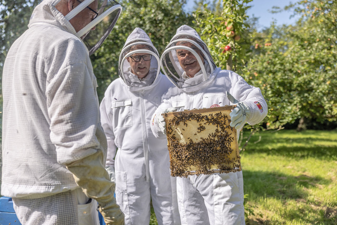 Drei Männer in Imkerschutzanzügen stehen in einem Garten, einer von ihnen hält einen Holzrahmen mit Bienenwaben in den Händen