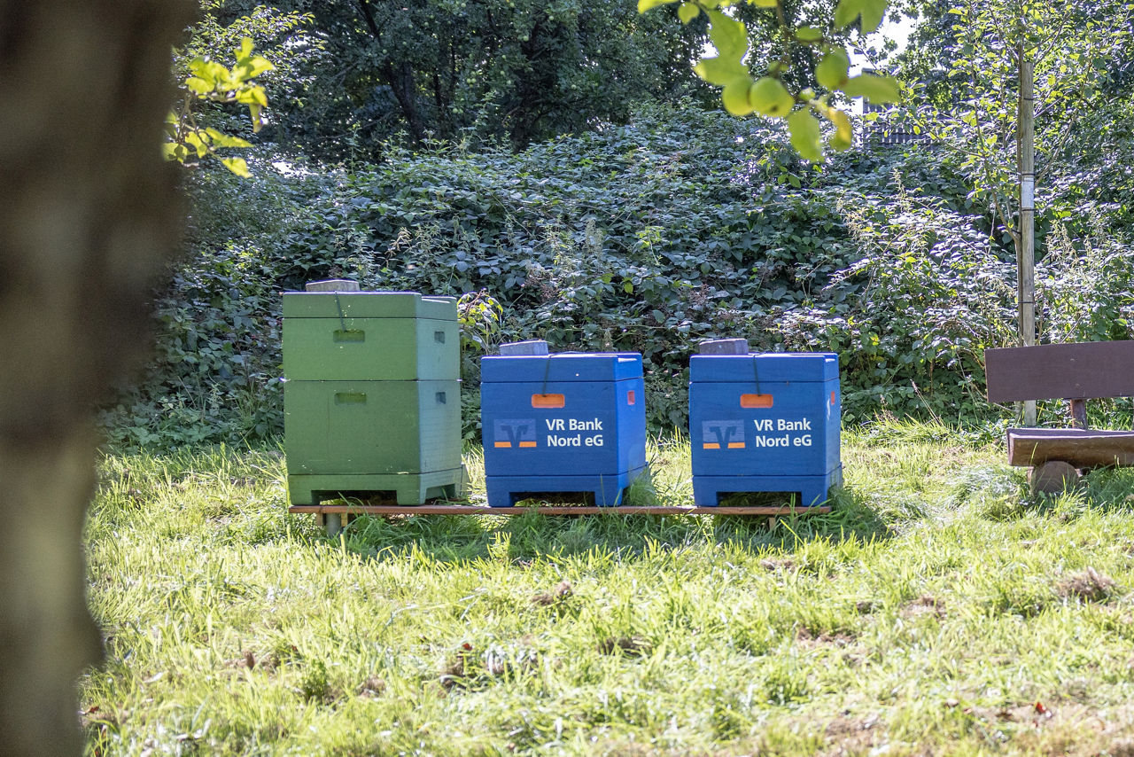 Eine grüne und zwei blaue Bienenbeuten auf einer Rasenfläche