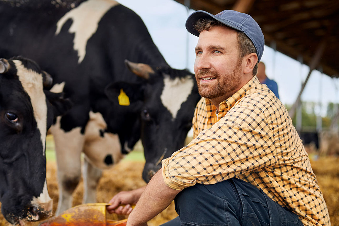 Junger Landwirt beim Kühefüttern