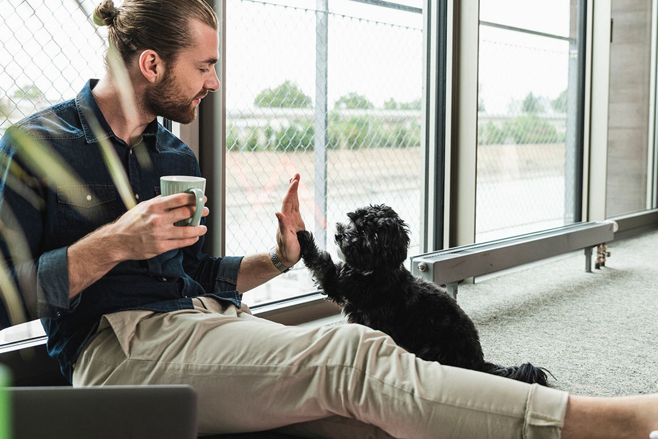 Ein Mann sitzt mit einer Tasse Kaffee auf dem Boden und gibt seinem Hund ein High Five