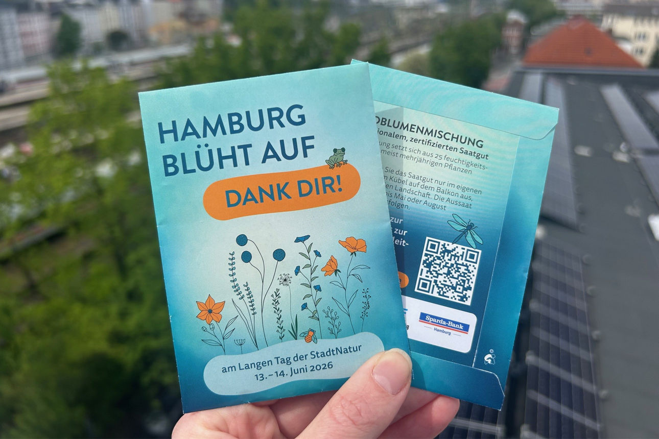 Ausblick Sparda-Bank Filiale Altona auf die „Hamburg blüht auf“-Saatguttütchen