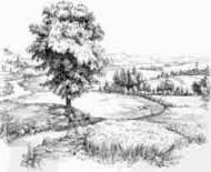 Eine Bleistiftskizze einer ruhigen Landschaft, die einen einsamen Baum und sanfte Hügel zeigt.