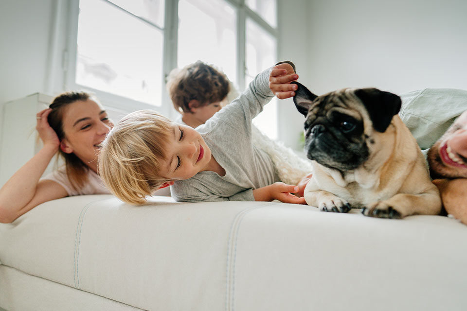 Eine Familie mit zwei Kindern liegt mit einem Hund auf einem Bett