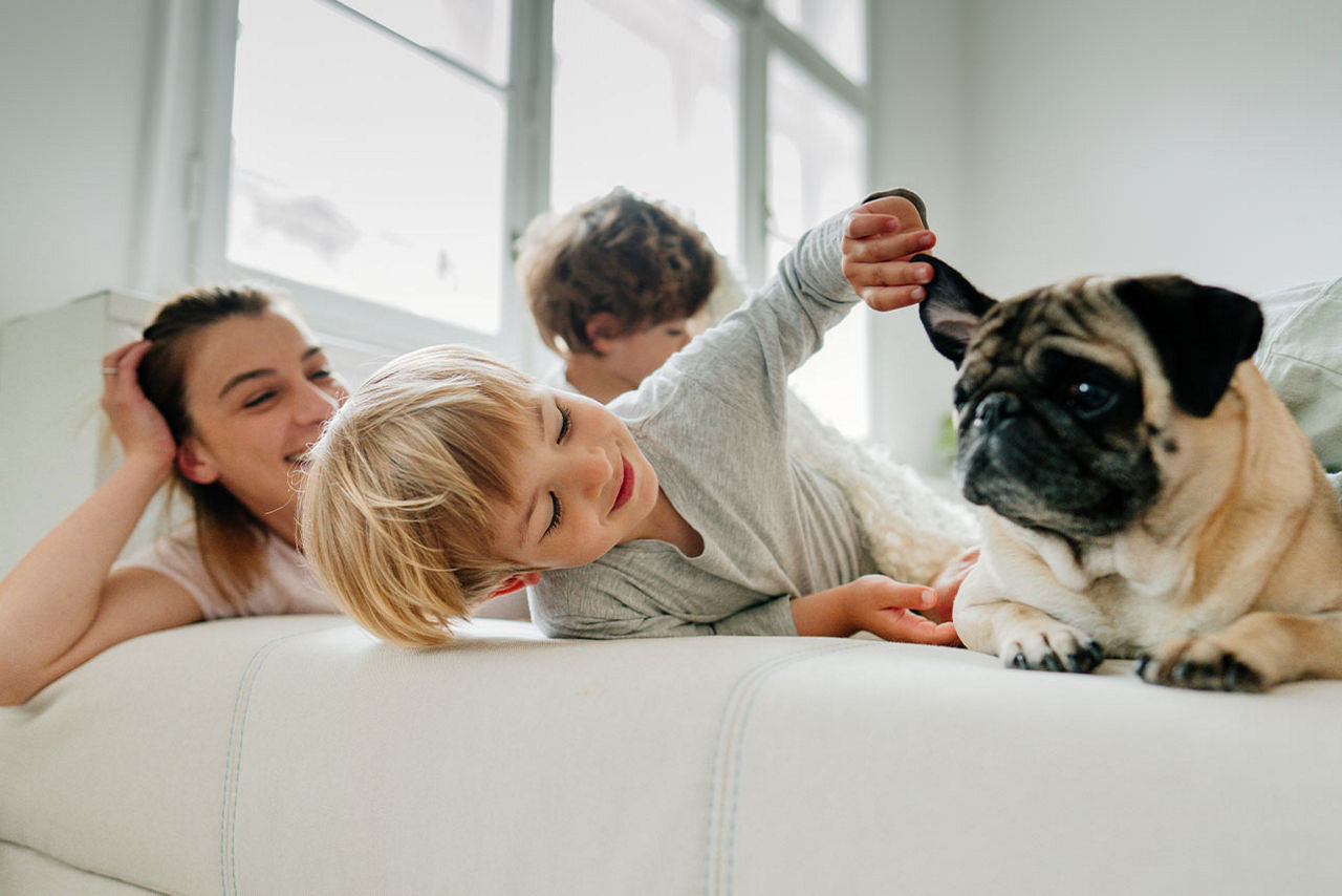 Familie mit Hund liegt auf einem Sofa