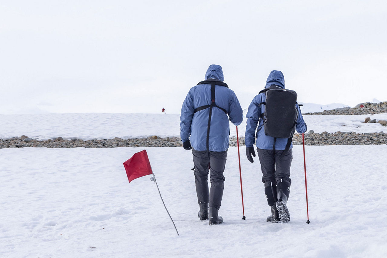 Foto der Rückansicht zweier Menschen, die in der Antarktis über Schnee laufen.