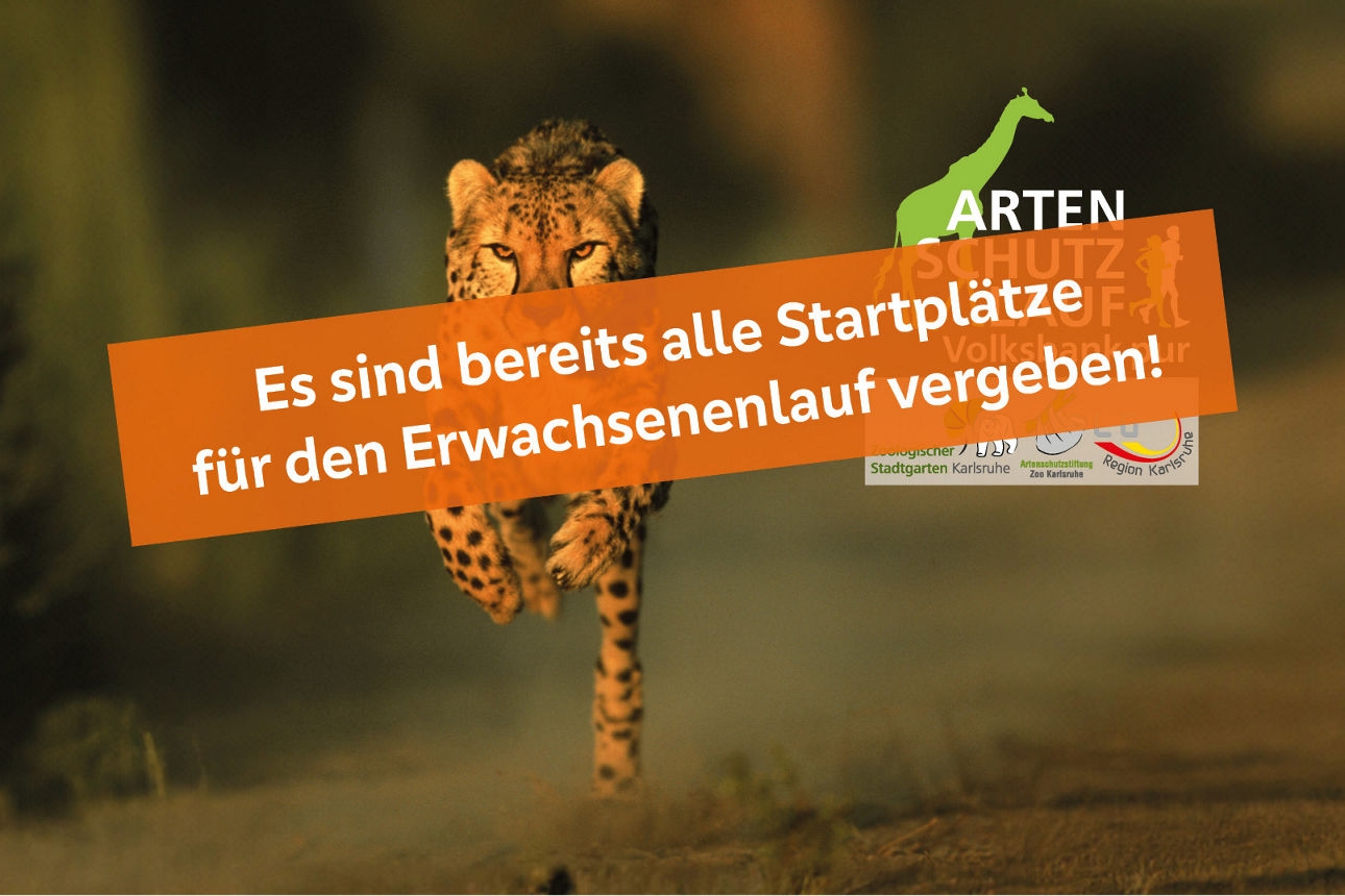 Artenschutzlauf - 8,6 km durch den Zoo Karlsruhe laufen für die Artenschutzstiftung.